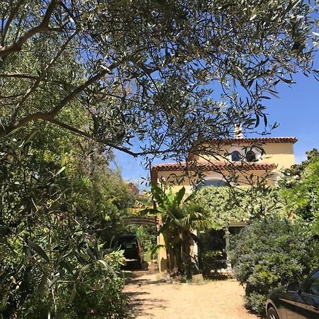 Ecrin De Verdure Avec Acces Piscine En Plein Aix Екс ан Прованс Екстериор снимка